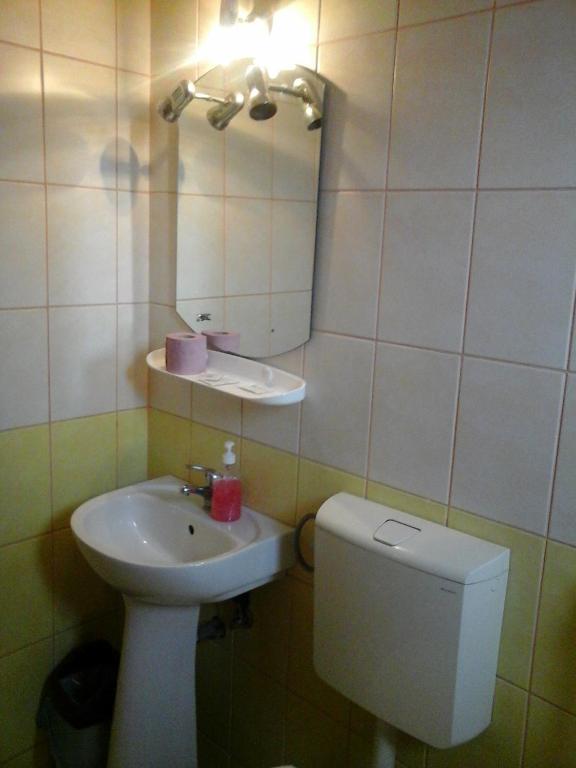 Pension Coral Baia Mare Rum bild